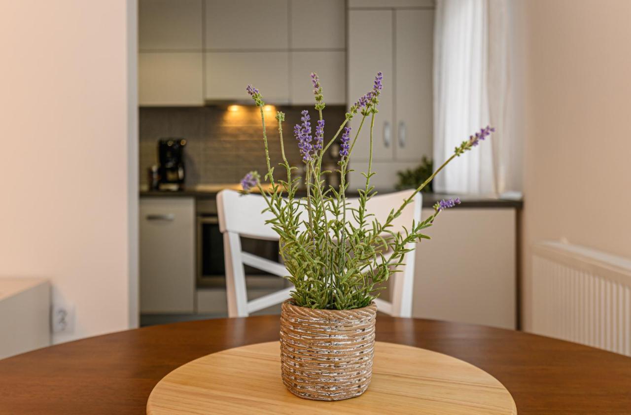 Stars Apartment